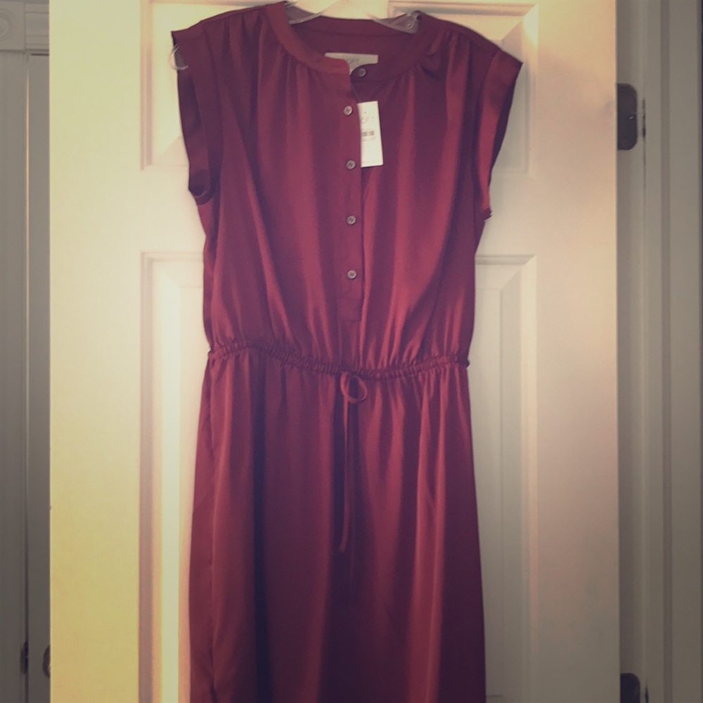 NWT Loft silky bergundy red tie waist dress size S